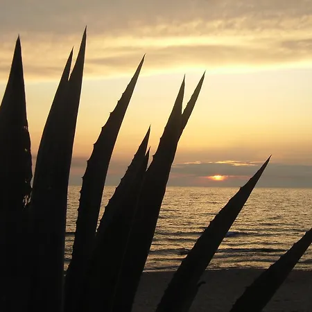 Cristina Alojamento de Acomodação e Pequeno-almoço 3*