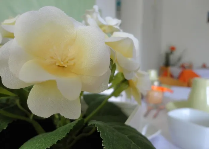 Frühstückspension Cristina